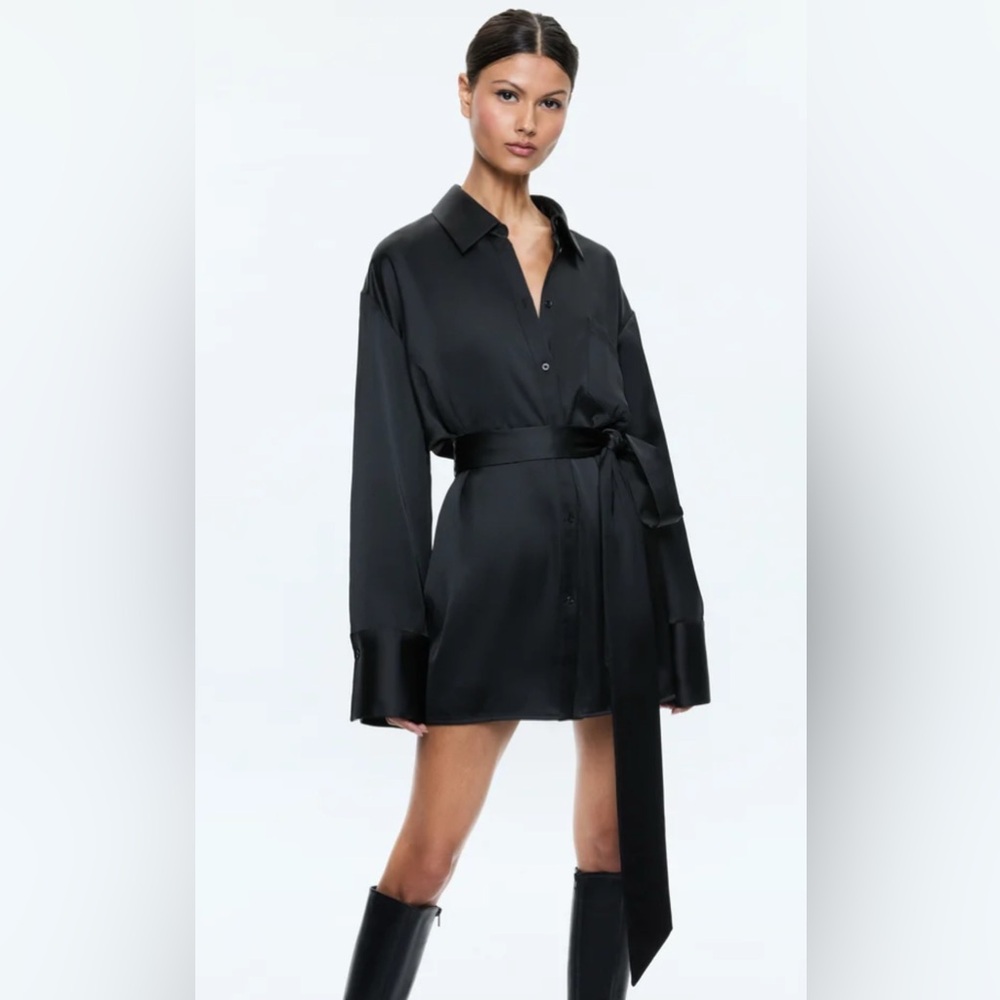 Finely Mini Shirt Dress (XS) LIKE NEW